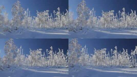 大兴安岭林海雪原银装素裹高清在线视频素材下载