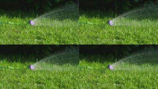 草地上的花园喷雾器高清在线视频素材下载