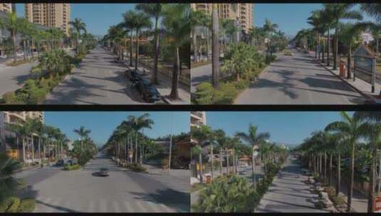 民族街道视频云南德宏芒市棕榈树街道街景高清在线视频素材下载