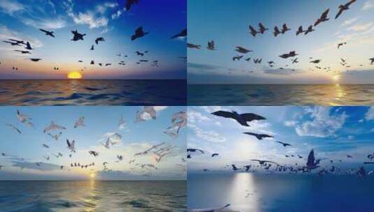 夕阳西下时海鸥在海面自由飞翔慢动作高清在线视频素材下载