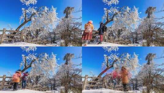黄山风景区冬季雾凇奇观延时摄影高清在线视频素材下载