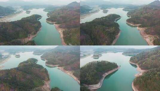 浦江通济湖景区春季紫荆花风光航拍合集高清在线视频素材下载