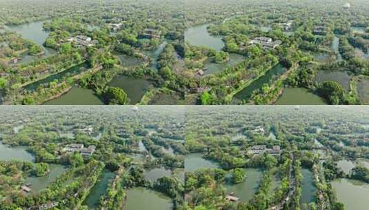 杭州西溪国家湿地公园高清在线视频素材下载