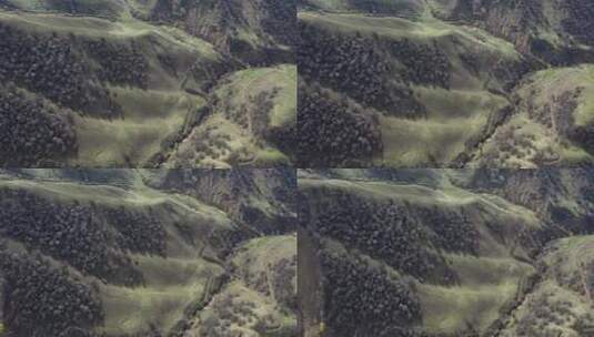新疆伊犁吐尔根杏花大峡谷航拍高清在线视频素材下载