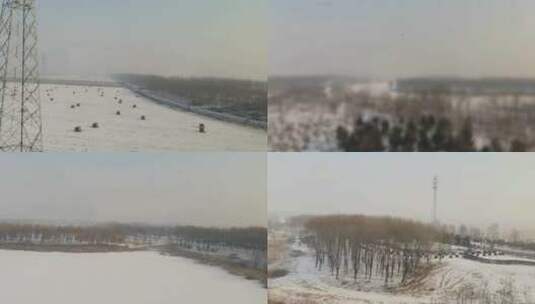缆车视角远景户外活动冬季滑雪场树林雪景高清在线视频素材下载