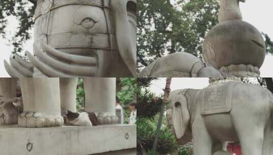 寺庙里的白象雕塑和睡着的猫高清在线视频素材下载