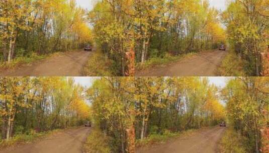 秋天林中小路上行驶的小汽车高清在线视频素材下载