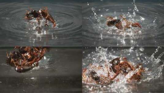 5K-小龙虾扔水慢镜头，小龙虾美食素材高清在线视频素材下载