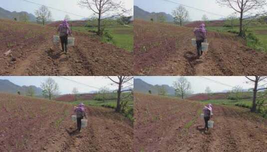 云南山区耕地农业种植高清在线视频素材下载