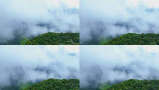 云雾 原始森林 航拍高清在线视频素材下载