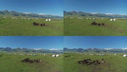 4K航拍新疆草原上蒙古包高清在线视频素材下载