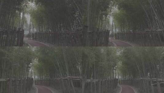 上海小区公园步道 健身 绿化 树林高清在线视频素材下载