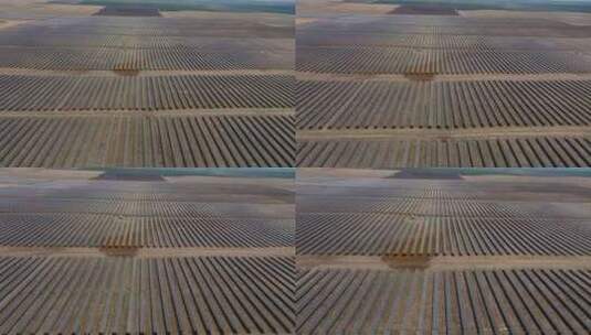 大规模自动化农田太阳能灌溉高清在线视频素材下载