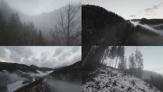 航拍森林雪山树林高山河流阳光蓝天白云高清在线视频素材下载