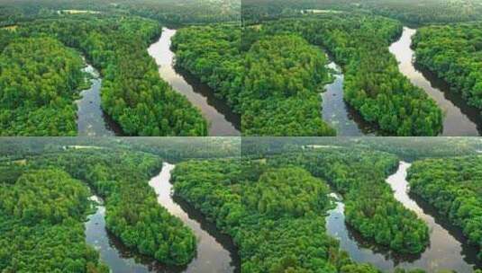 森林和河流交汇高清在线视频素材下载