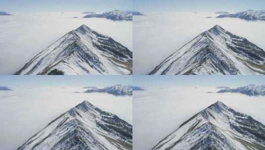 航拍夹金山云海风景川西高原雪山高清在线视频素材下载