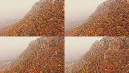 北京秋天司马台长城群山红叶大气航拍高清在线视频素材下载