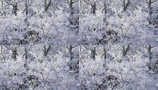 伏牛山冬季雪景云海雾凇高清在线视频素材下载