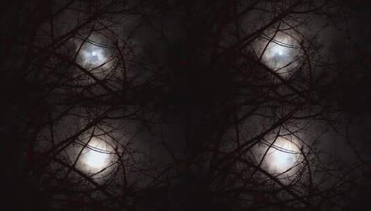 透过树枝拍摄的夜晚月亮高清在线视频素材下载