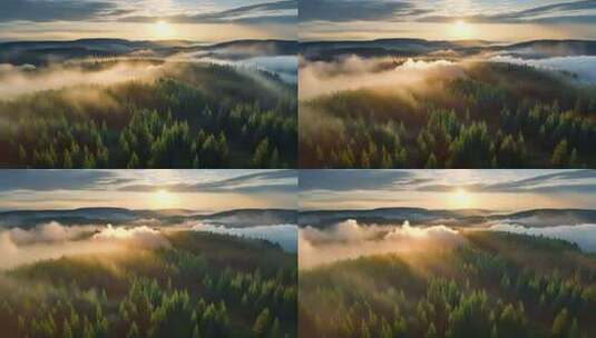 清晨云雾森林航拍高清在线视频素材下载