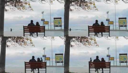 海边长椅上一对情侣高清在线视频素材下载