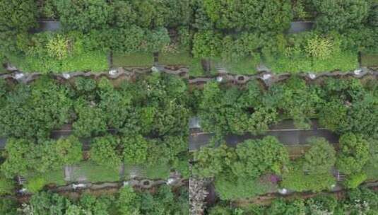 广东东莞：山溪蜿蜒、流水潺潺高清在线视频素材下载