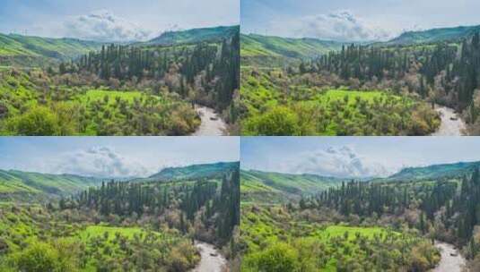 新疆原始森林河谷草原溪流 伊犁库尔德宁高清在线视频素材下载
