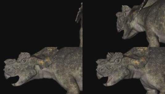 阿奇洛龙头恐龙动物高清在线视频素材下载