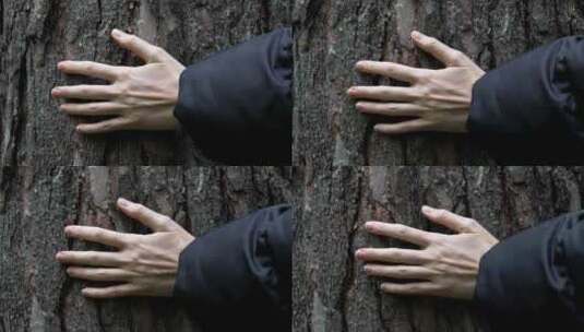 自然触摸：手拥抱树干高清在线视频素材下载