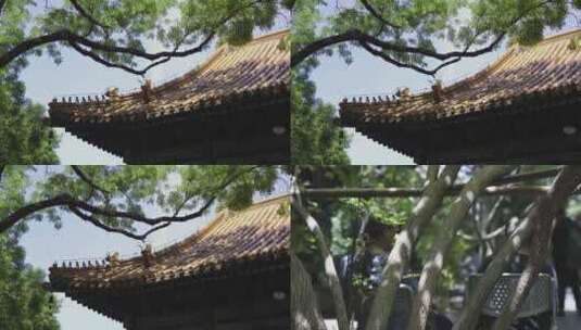 夏日晴空寺庙风光/斑驳树影/老北京人文高清在线视频素材下载