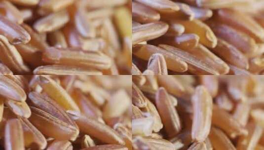 红曲米杂粮长米养生健康 (4)高清在线视频素材下载