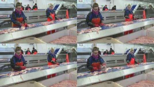 鱼类加工厂高清在线视频素材下载