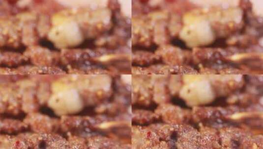 内蒙东北美食烧烤烤串高清在线视频素材下载
