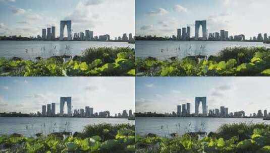 苏州金鸡湖城市天际线延时视频高清在线视频素材下载