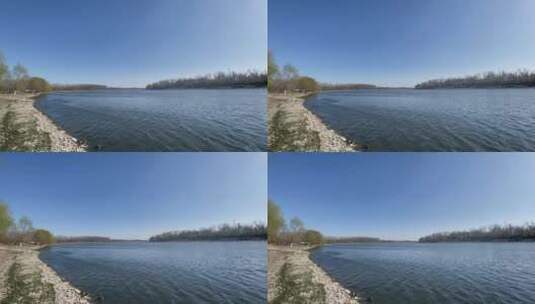 河流岸边树石头高清在线视频素材下载