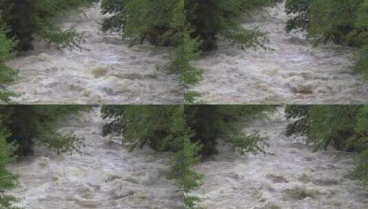 树木之间的一条狂野的河流高清在线视频素材下载