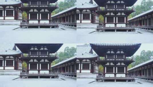 日本京都金福寺高清在线视频素材下载