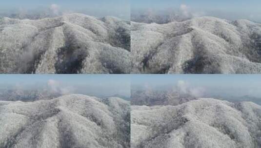 神龙架雪林，大景直推上升镜头高清在线视频素材下载