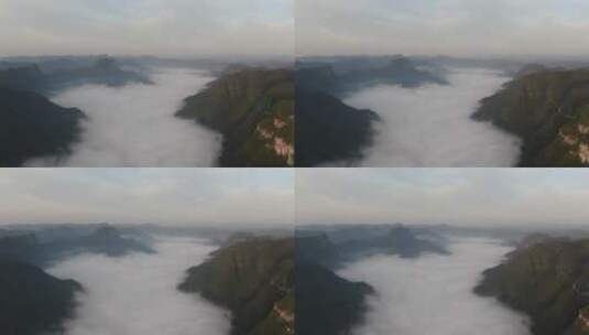 旅游景区湖南湘西地质公园清晨云海日出航拍高清在线视频素材下载