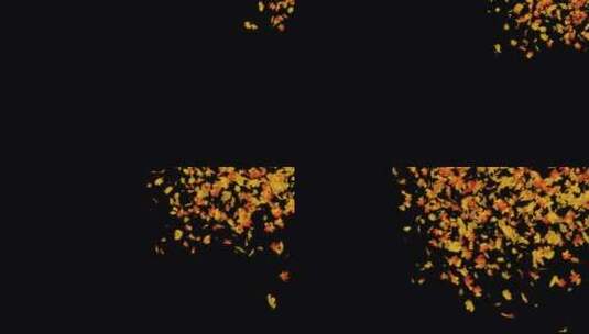 大量枫叶飘落（带通道）高清在线视频素材下载