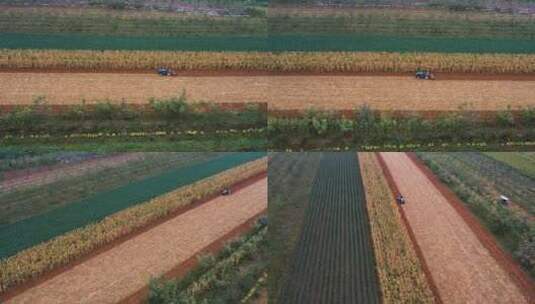4K航拍农业农用机械耕地拖拉机素材1高清在线视频素材下载