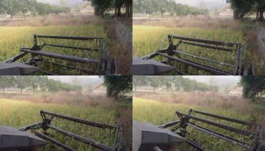 第一视角拍摄秋季水稻收割 4K视频高清在线视频素材下载