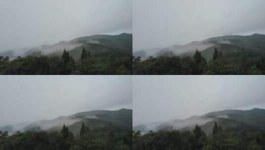看山上的云海 飘过高清在线视频素材下载