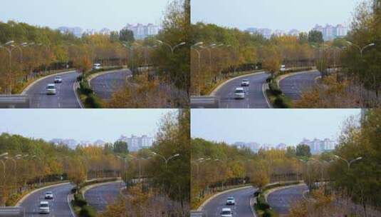 实拍北京金秋蜿蜒曲折的公路两边金黄的树林高清在线视频素材下载