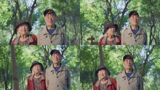 幸福的老年夫妇在公园里散步高清在线视频素材下载