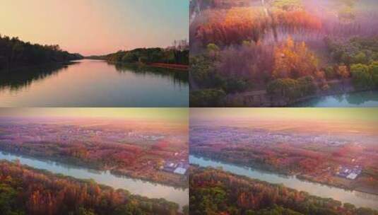 4K航拍秋冬景色红叶林高清在线视频素材下载