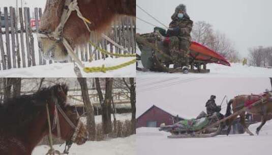 马在雪地奔跑马拉爬犁慢动作高清在线视频素材下载