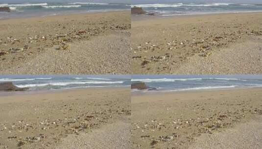 一只螃蟹在海滩上慢慢地走过贝壳。高清在线视频素材下载