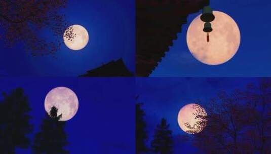 中秋节月亮升空唯美风景高清在线视频素材下载