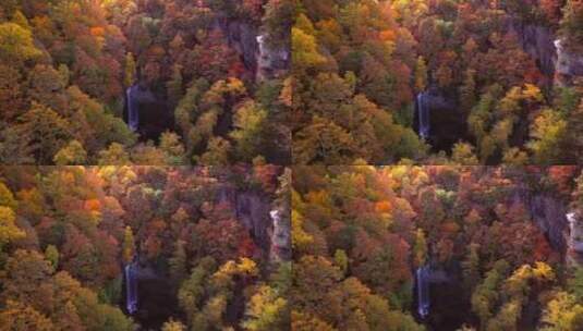 森林中的天坑瀑布高清在线视频素材下载